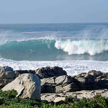 Villa Whales & Waves à Hermanus Extérieur photo