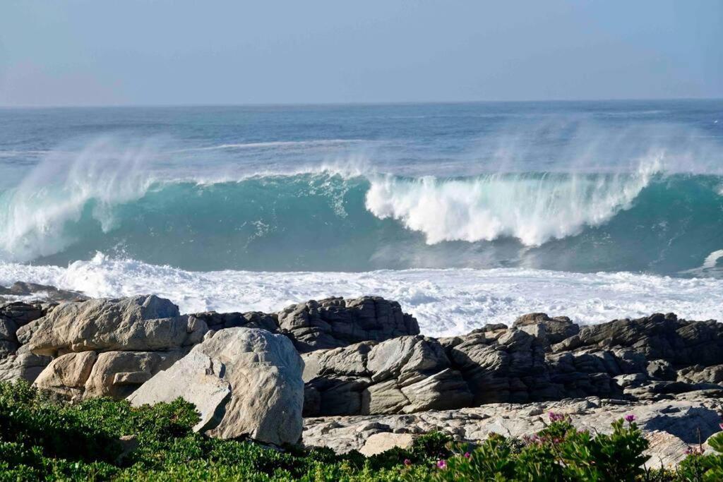 Villa Whales & Waves à Hermanus Extérieur photo