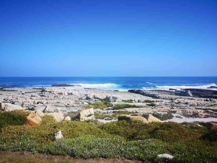 Villa Whales & Waves à Hermanus Extérieur photo